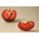 Apfel Baya® Marisa