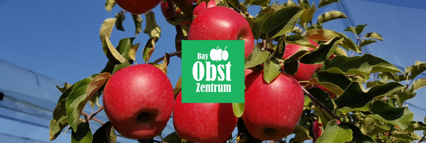 Foto von Äpfeln mit Logo in der Mitte