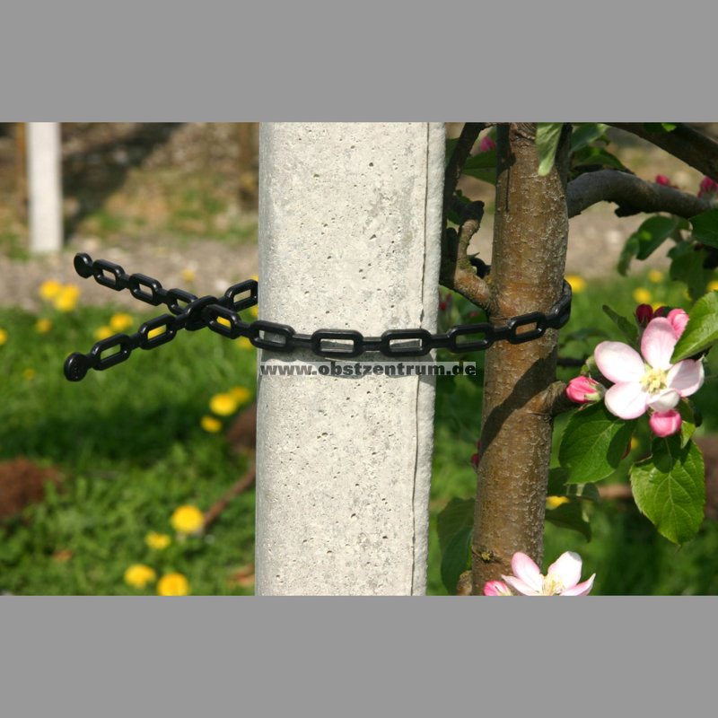 Astklammern für Obstbäume 180° / Shop BayOZ