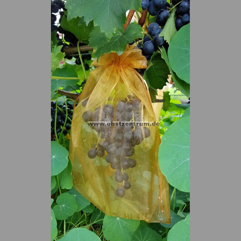 10-100 Stück Trauben Schutzbeutel Frucht Schutz Gegen Fraß von Insekten Beutel 